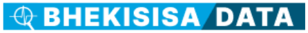 Bhekisisa Data Logo